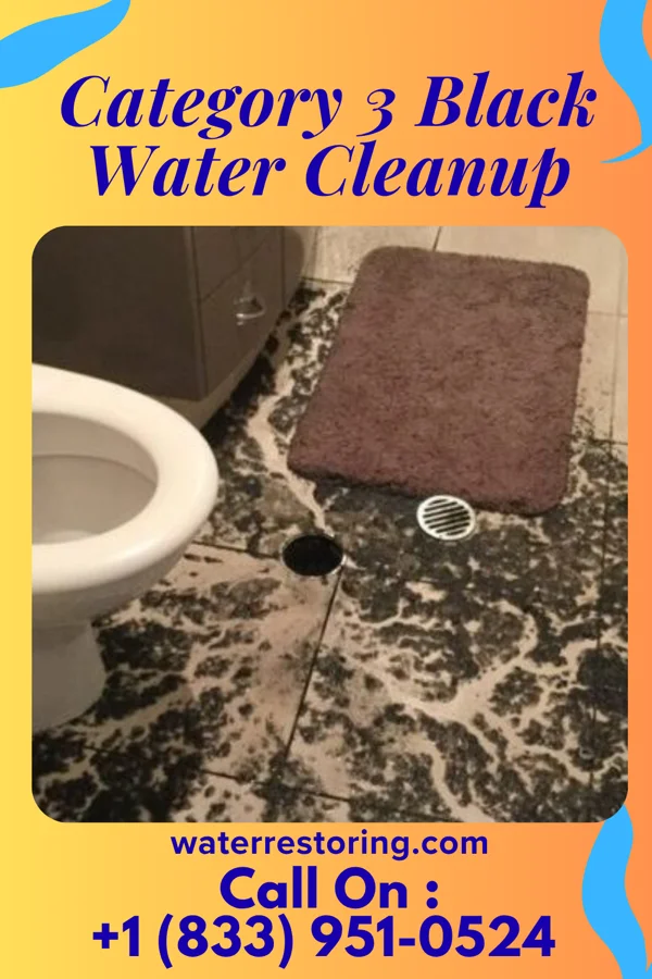 Category 3 Black Water Cleanup in Pass Christian, MS